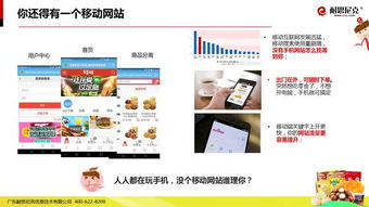 互聯(lián)網(wǎng)食品營(yíng)銷(xiāo)解決方案 信息技術(shù)咨詢服務(wù)精華解析